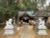 胎安神社（たやすじんじゃ）さんのプロフィール画像