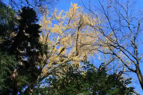 三春大神宮の自然