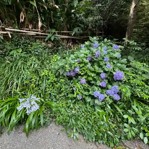 花窟神社(三重県)