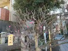 小野照崎神社(東京都)