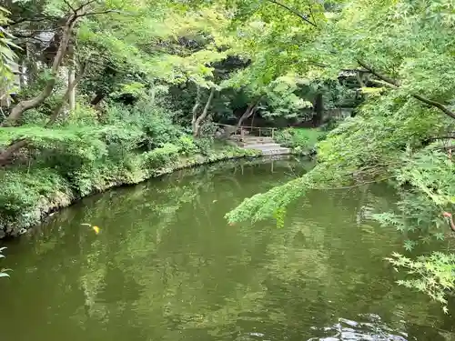 鶴岡八幡宮の庭園