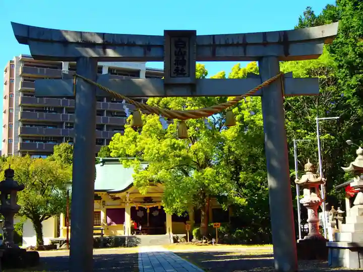白山神社の鳥居