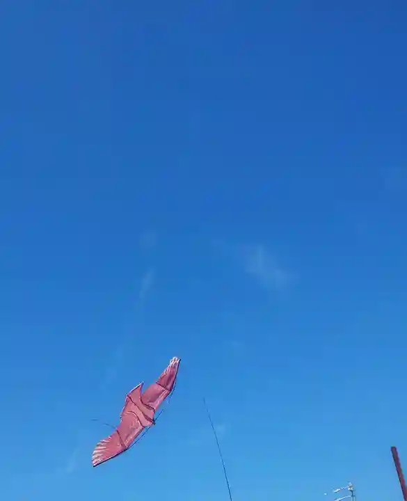 萩園神社の体験その他