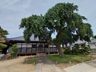 相応寺(福島県)