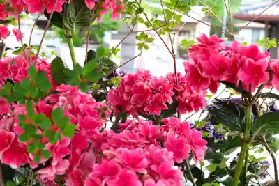 三津厳島神社(愛媛県)