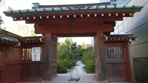 大巧寺の山門