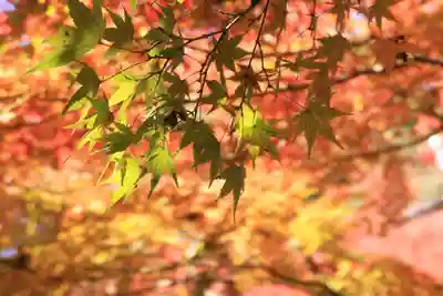 高尾山薬王院(東京都)