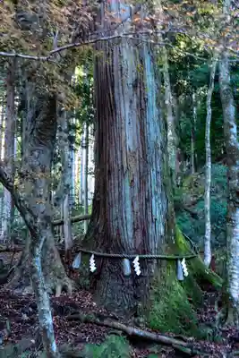 貴船神社奥宮(京都府)