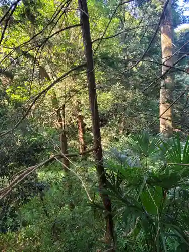 前玉神社の周辺