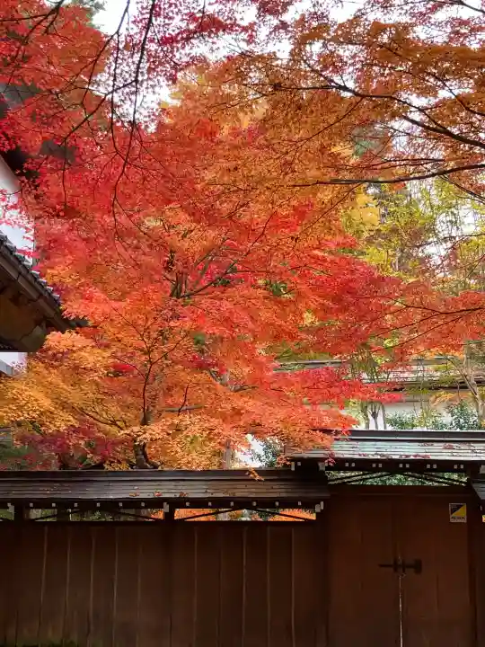 日枝神社の{uncategorized: "未分類", other: "その他", undefined: "問題あり", building: "その他建物", grave: "お墓", sacred_gate: "鳥居", guardian: "狛犬", statue: "像", buddha: "仏像", history: "歴史", nature: "自然", garden: "庭園", animal: "動物", pagoda: "塔", temizu: "手水舎", mountain_gate: "山門・神門", sanctuary: "本殿・本堂", subordinate: "末社・摂社", art: "芸術", scenery: "景色", jizo: "地蔵", ema: "絵馬", goshuin: "御朱印", omikuji: "おみくじ", items: "授与品その他", amulet: "お守り", goshuincho: "御朱印帳", eats: "食事", festival: "お祭り", votive_dance: "神楽", shichigosan: "七五三参", wedding: "結婚式", experience: "体験その他", initially: "初詣", around: "周辺", anti_infection: "感染症対策"}