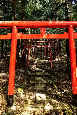 鹿児島神宮の鳥居