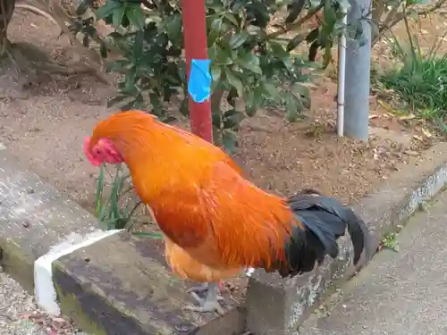 観音寺(神奈川県)