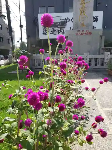 妙法寺(東京都)