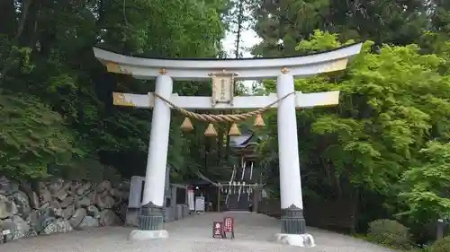 宝登山神社の鳥居