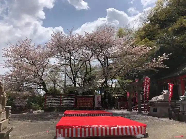 徳島眉山天神社の七五三参