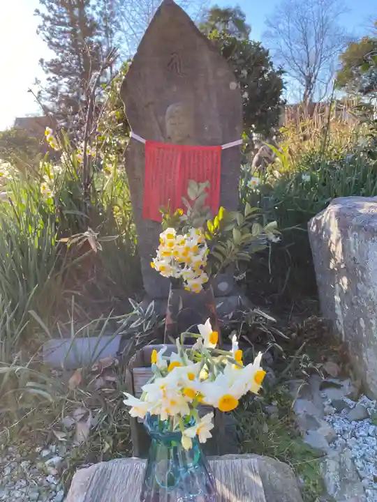 般若寺 ❁コスモス寺❁(奈良県)