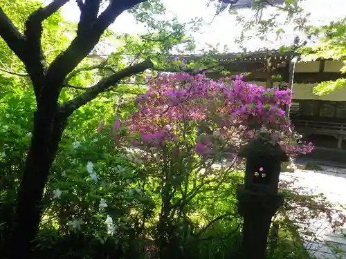 安國論寺（安国論寺）の庭園