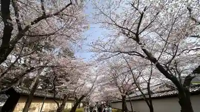 醍醐寺(京都府)