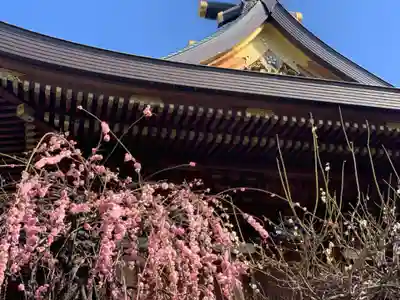 湯島天満宮のその他建物