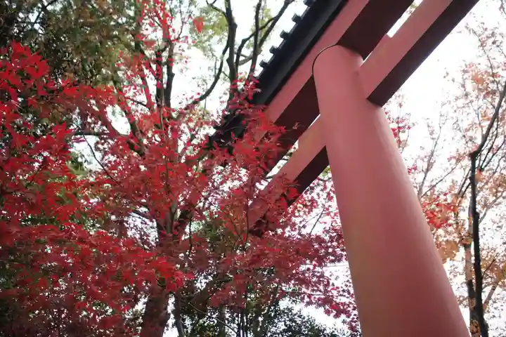 武蔵一宮氷川神社のその他建物