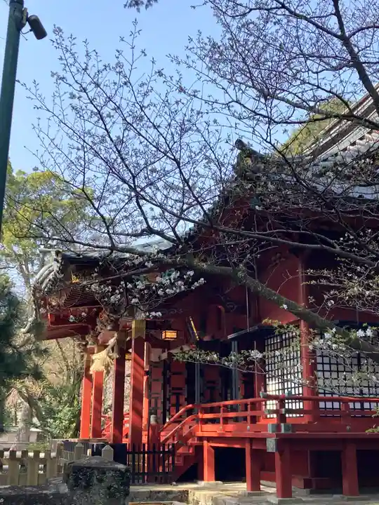 伊豆山神社(静岡県)