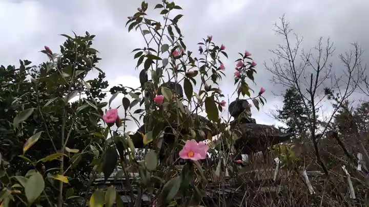 鍬山神社(京都府)