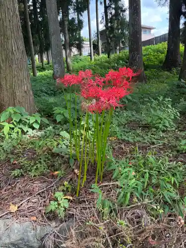 山宮浅間神社(静岡県)