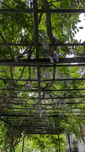 手稲神社(北海道)