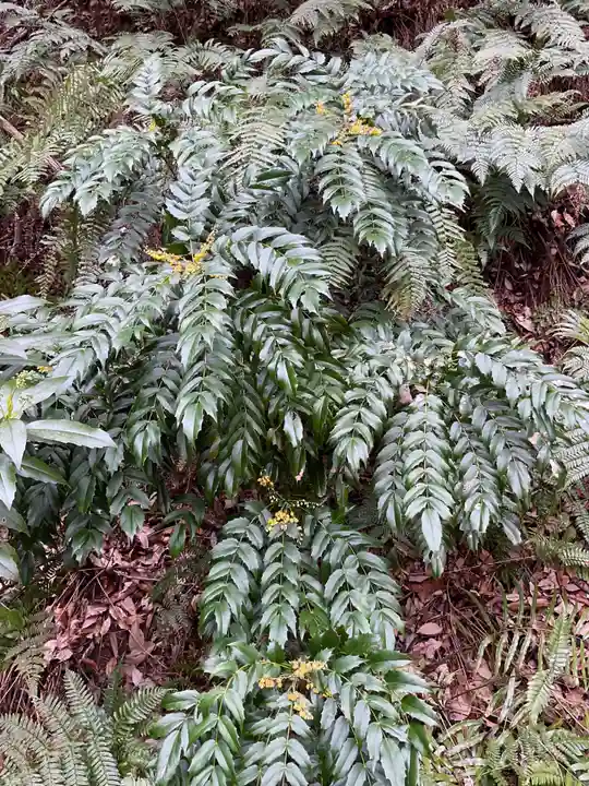 尾張冨士大宮浅間神社(愛知県)