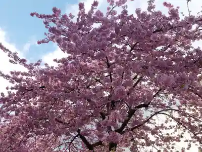 米之宮浅間神社(静岡県)