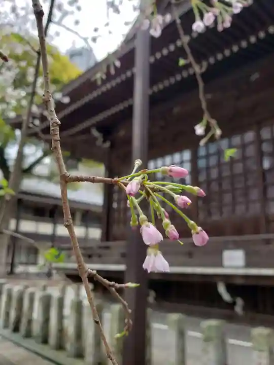 熊野神社(東京都)