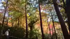 大矢田神社(岐阜県)