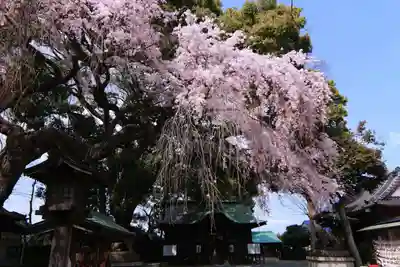 三島八幡神社の景色