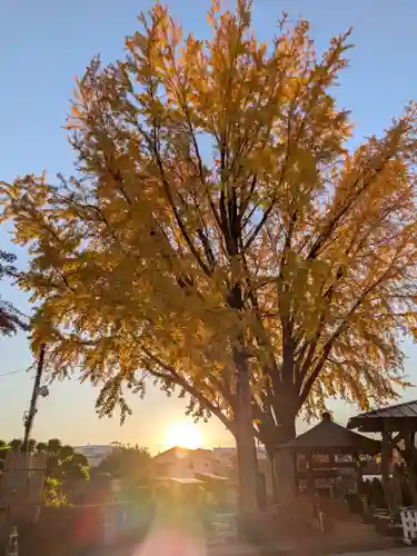 成願寺(東京都)