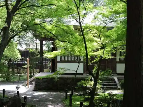 地蔵院(京都府)