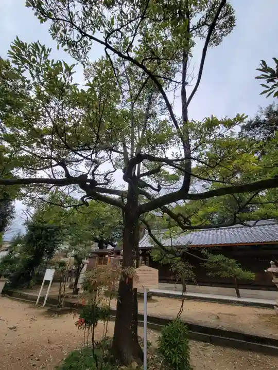 弓弦羽神社の自然