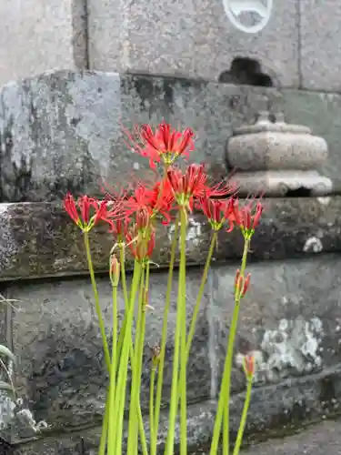 上行寺(静岡県)