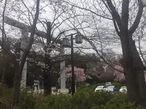 櫻木神社の鳥居