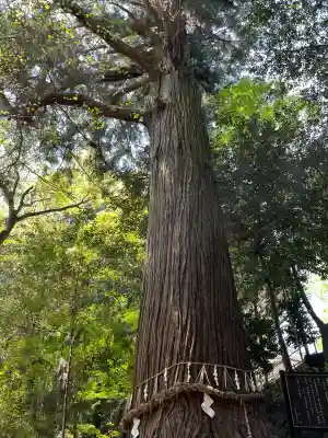 高嶺神社(兵庫県)