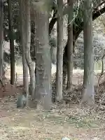 槻井泉神社の{uncategorized: "未分類", other: "その他", undefined: "問題あり", building: "その他建物", grave: "お墓", sacred_gate: "鳥居", guardian: "狛犬", statue: "像", buddha: "仏像", history: "歴史", nature: "自然", garden: "庭園", animal: "動物", pagoda: "塔", temizu: "手水舎", mountain_gate: "山門・神門", sanctuary: "本殿・本堂", subordinate: "末社・摂社", art: "芸術", scenery: "景色", jizo: "地蔵", ema: "絵馬", goshuin: "御朱印", omikuji: "おみくじ", items: "授与品その他", amulet: "お守り", goshuincho: "御朱印帳", eats: "食事", festival: "お祭り", votive_dance: "神楽", shichigosan: "七五三参", wedding: "結婚式", experience: "体験その他", initially: "初詣", around: "周辺", anti_infection: "感染症対策"}