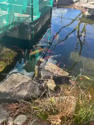 市杵島神社（高萩八幡宮境内社）(茨城県)