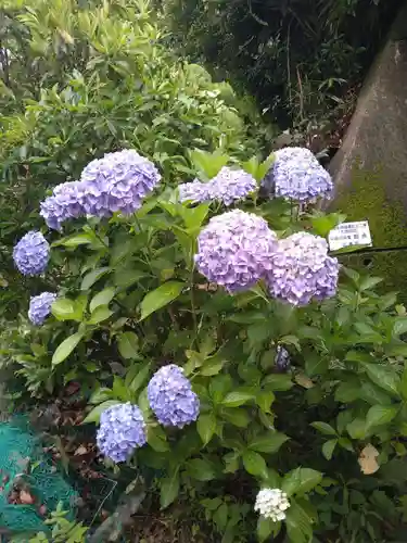 石内のお大師さん　金剛院(広島県)