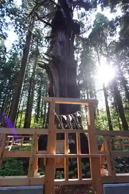 巖鬼山神社(青森県)