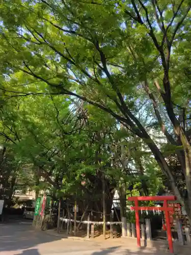 稲毛神社(神奈川県)