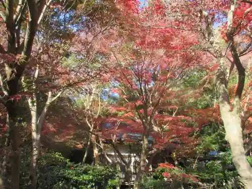 覚園寺の景色