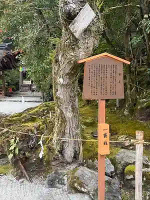 賀茂別雷神社（上賀茂神社）(京都府)