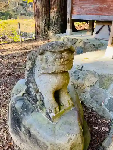 白山神社の狛犬