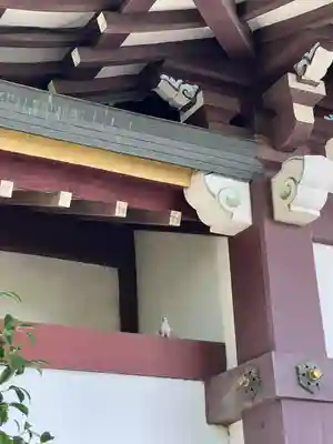 川越八幡宮(埼玉県)