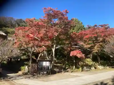 円覚寺(神奈川県)
