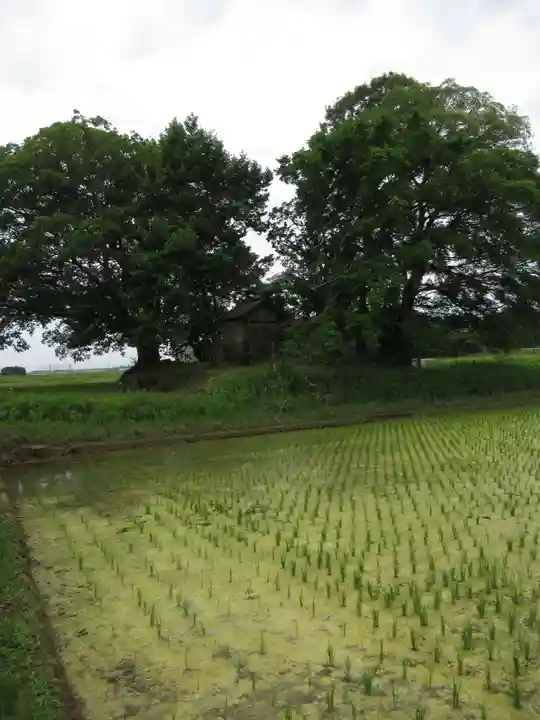 神明神社(千葉県)